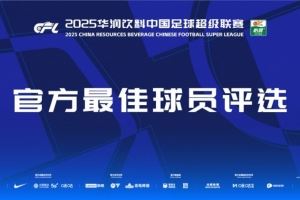 中超第18轮最佳候选：瓦科、德尔加多、刘祝润、米特里策等入围